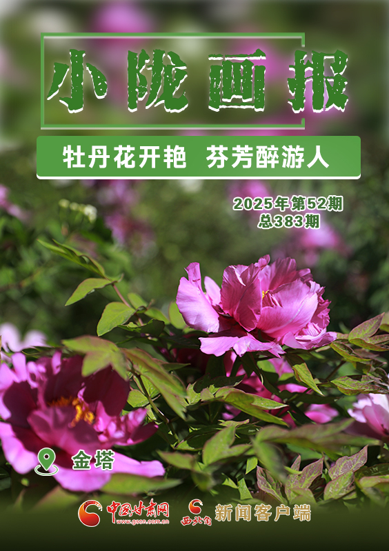 【小隴畫(huà)報(bào)·383期】金塔：牡丹花開(kāi)艷 芬芳醉游人