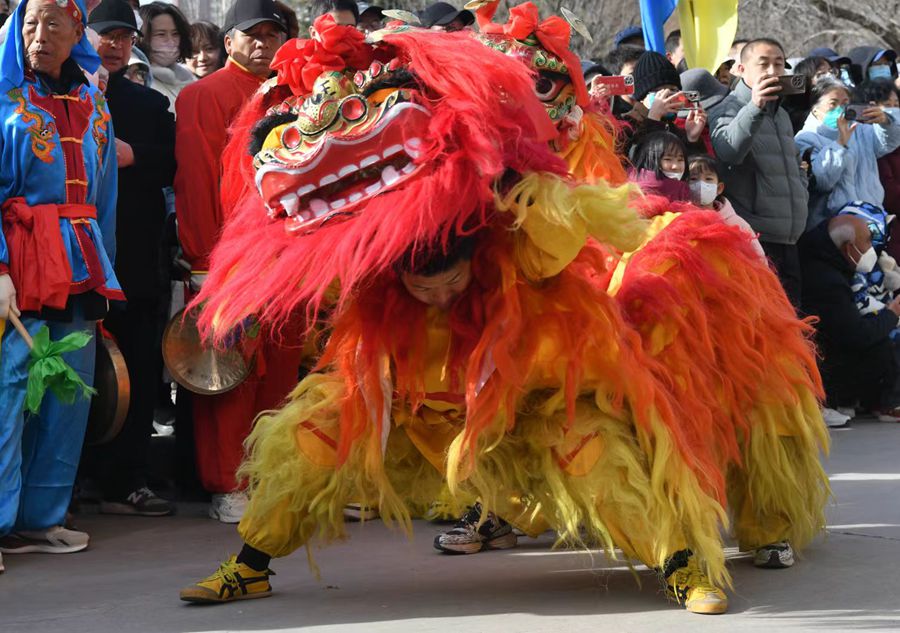 蘭州北獅表演現(xiàn)場(chǎng)。受訪者供圖