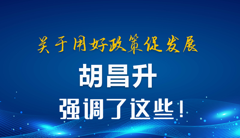 圖解|關(guān)于用好政策促發(fā)展 胡昌升強調(diào)了這些！