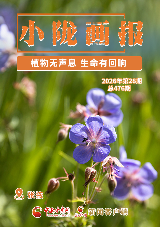 【小隴畫報(bào)·476期】張掖：植物無聲息 生命有回響
