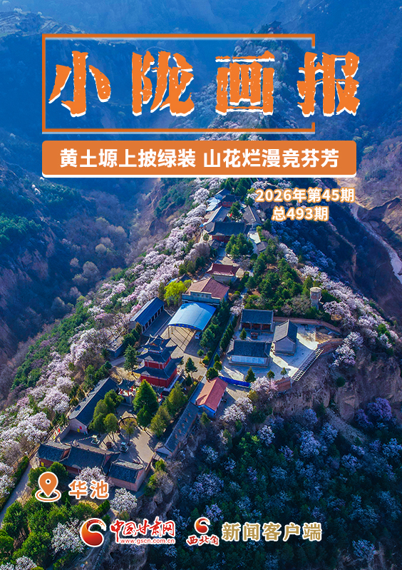 【小隴畫報(bào)·493期】華池:黃土塬上披綠裝 山花爛漫競(jìng)芬芳