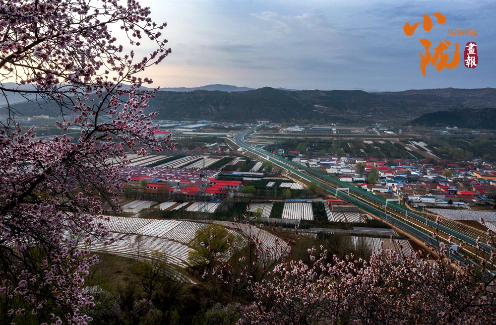 【小隴畫報·496期】走進(jìn)康樂：邂逅山水間的天然清涼